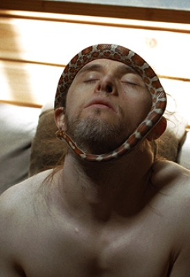 Theo and the Metamorphosis